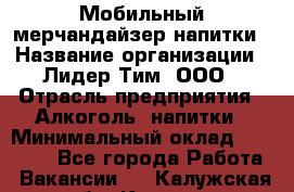 Мобильный мерчандайзер напитки › Название организации ­ Лидер Тим, ООО › Отрасль предприятия ­ Алкоголь, напитки › Минимальный оклад ­ 22 000 - Все города Работа » Вакансии   . Калужская обл.,Калуга г.